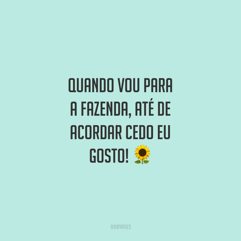 Quando vou para fazenda, até de acordar cedo eu gosto!