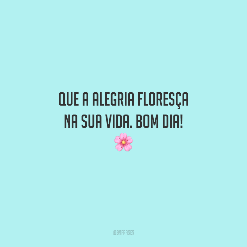 Que a alegria floresça na sua vida. Bom dia! 