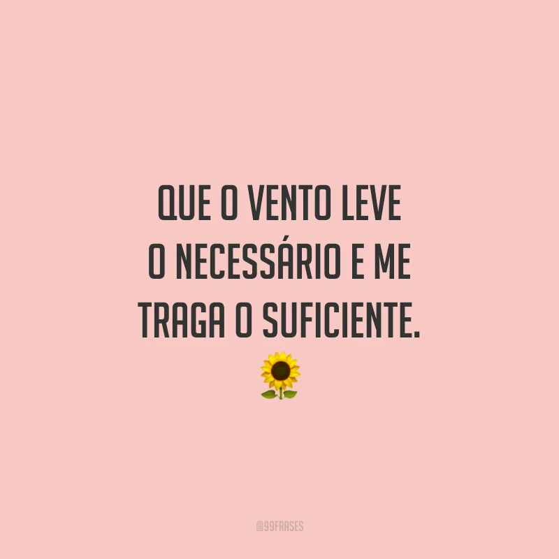 Que o vento leve o necessário e me traga o suficiente.