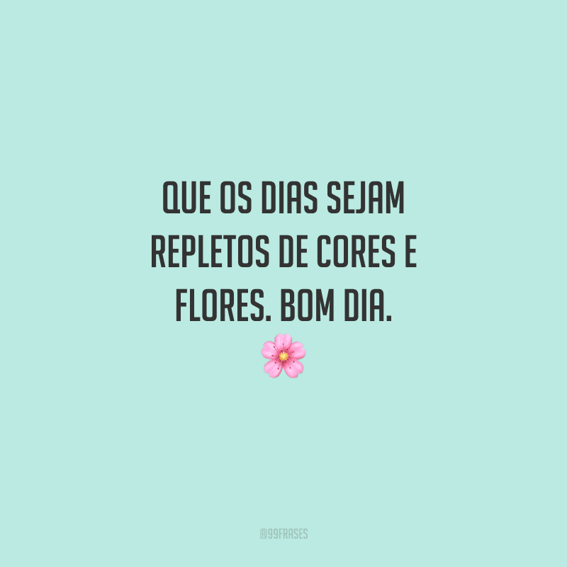 Que os dias sejam repletos de cores e flores. Bom dia. 