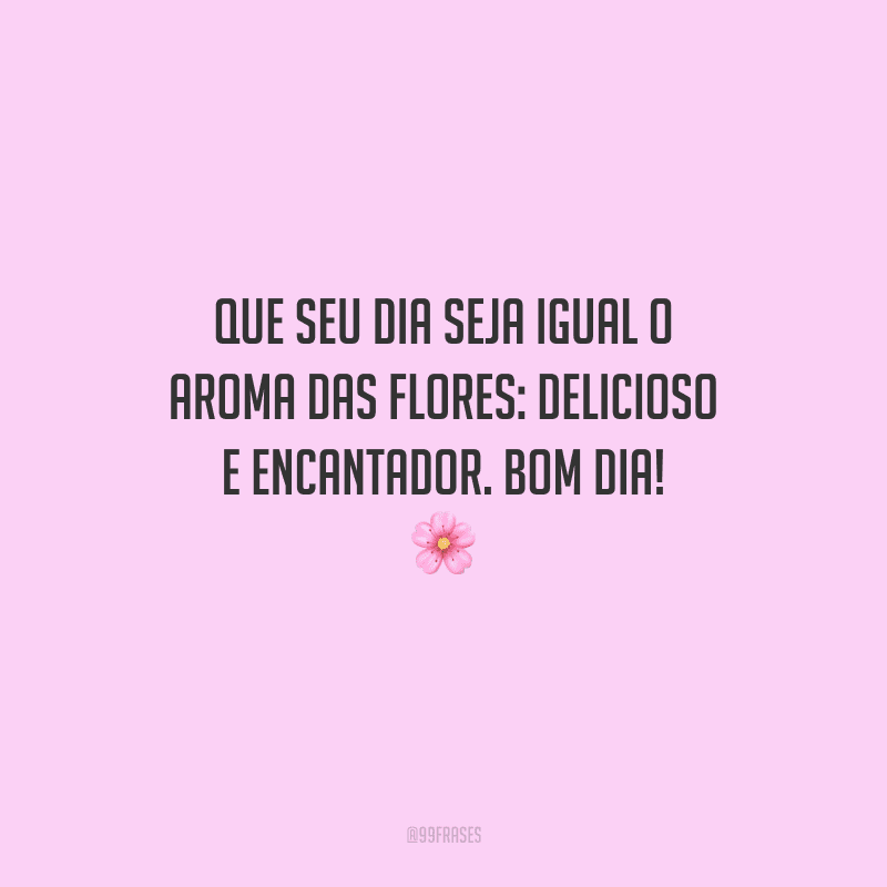 Que seu dia seja igual o aroma das flores: delicioso e encantador. Bom dia! 