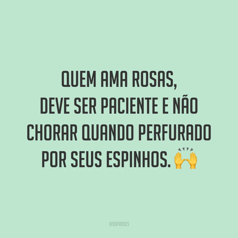 Quem ama rosas, deve ser paciente e não chorar quando perfurado por seus espinhos. 🙌