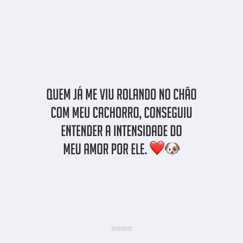 Quem já me viu rolando no chão com meu cachorro, conseguiu entender a intensidade do meu amor por ele.