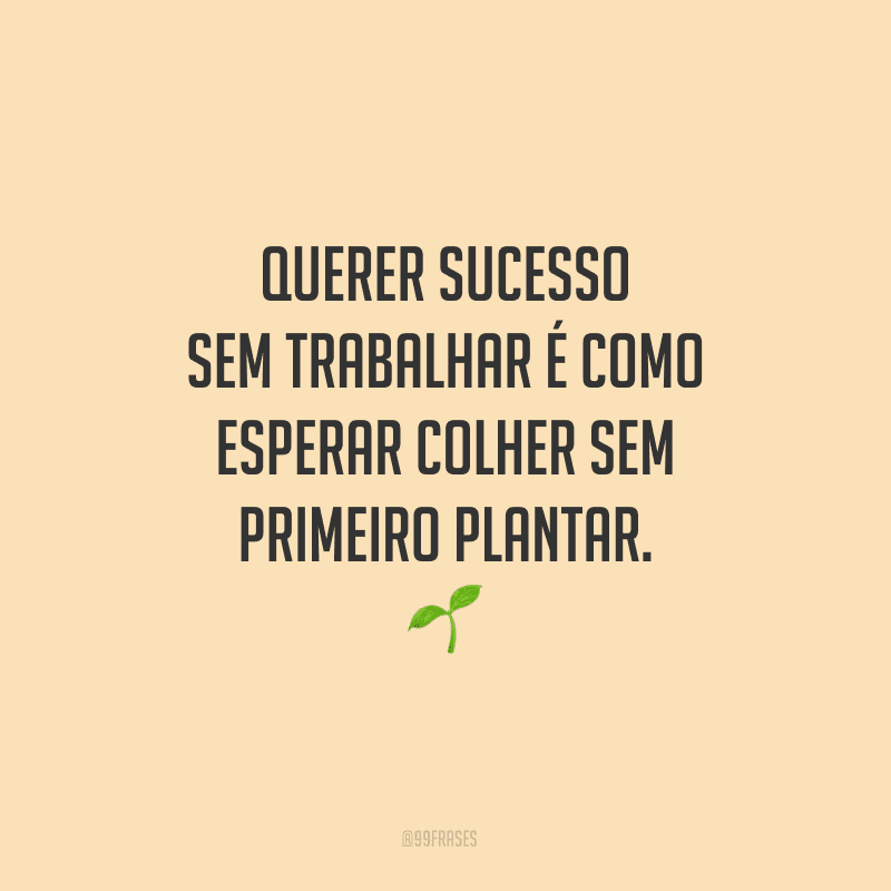 Querer sucesso sem trabalhar é como esperar colher sem primeiro plantar. 
