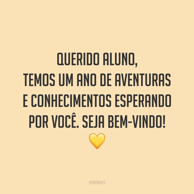 Querido aluno, temos um ano de aventuras e conhecimentos esperando por você. Seja bem-vindo! 💛