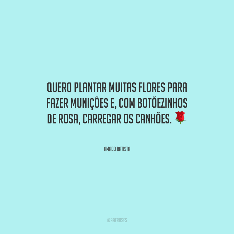 Quero plantar muitas flores para fazer munições e, com botõezinhos de rosa, carregar os canhões.