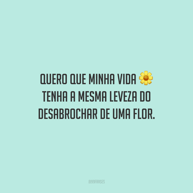 Quero que minha vida tenha a mesma leveza do desabrochar de uma flor.