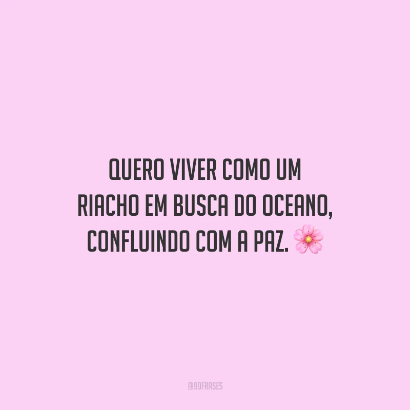 Quero viver como um riacho em busca do oceano, confluindo com a paz.