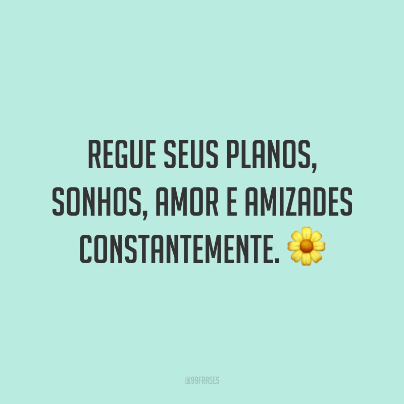 Regue seus planos, sonhos, amor e amizades constantemente. 🌼