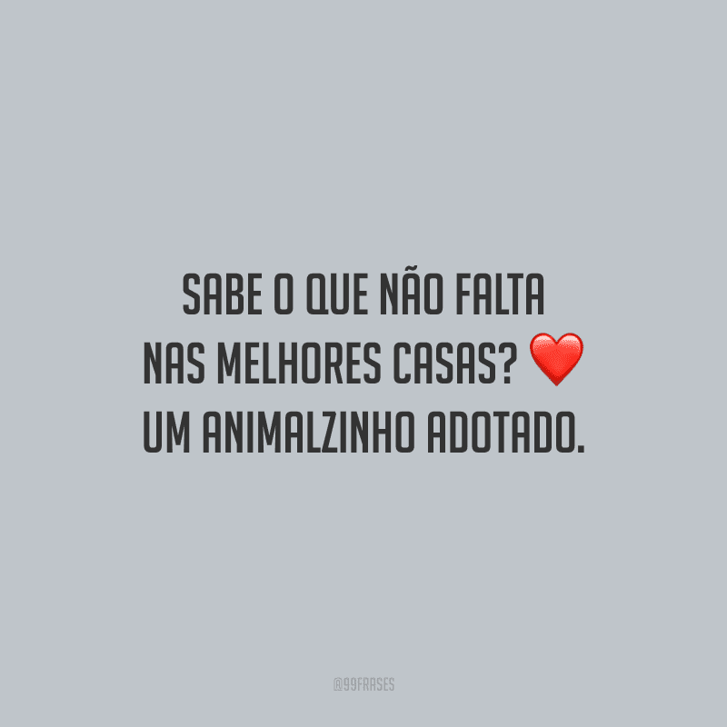 Sabe o que não falta nas melhores casas? Um animalzinho adotado.