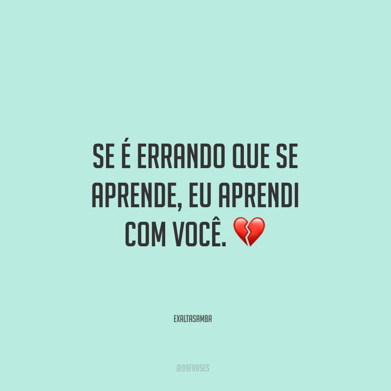 Se é errando que se aprende, eu aprendi com você.