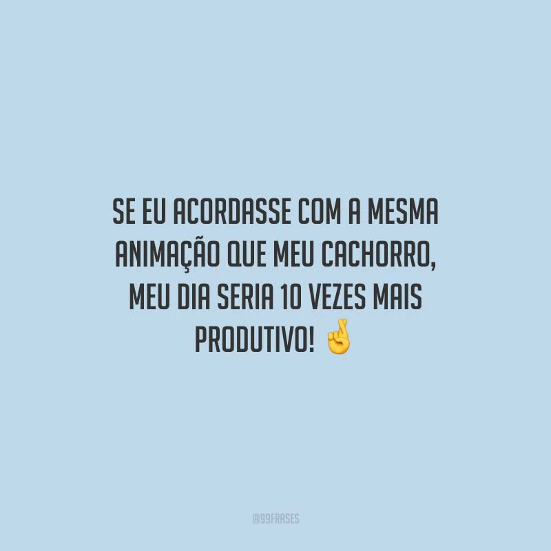 Se eu acordasse com a mesma animação que meu cachorro, meu dia seria 10 vezes mais produtivo!