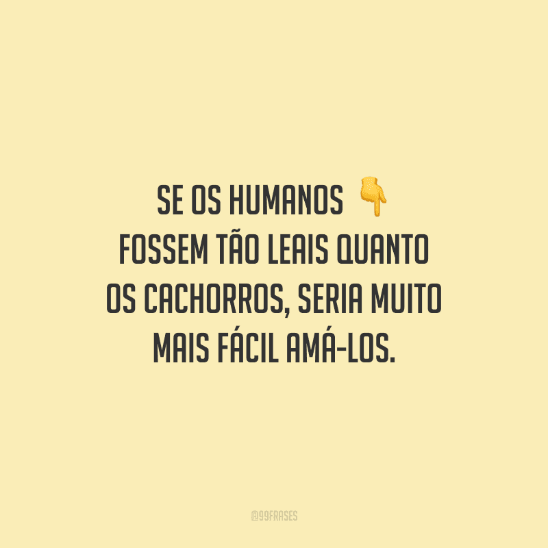 Se os humanos fossem tão leais quanto os cachorros, seria muito mais fácil amá-los.