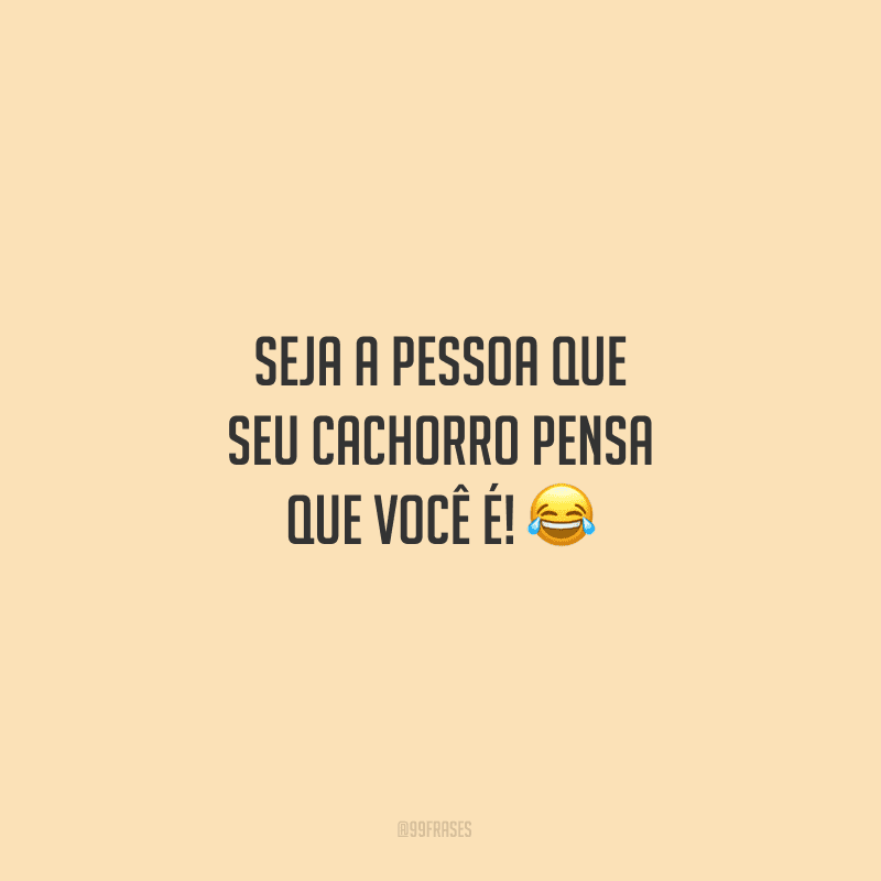 Seja a pessoa que seu cachorro pensa que você é!