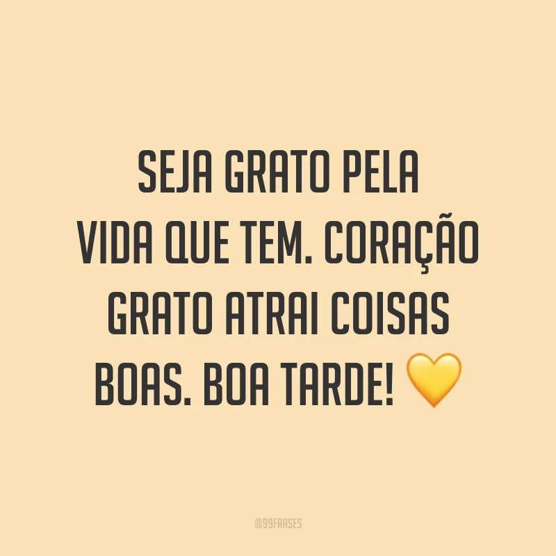 Seja grato pela vida que tem. Coração grato atrai coisas boas. Boa tarde! 💛