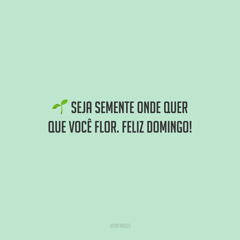 Seja semente onde quer que você flor. Feliz domingo!