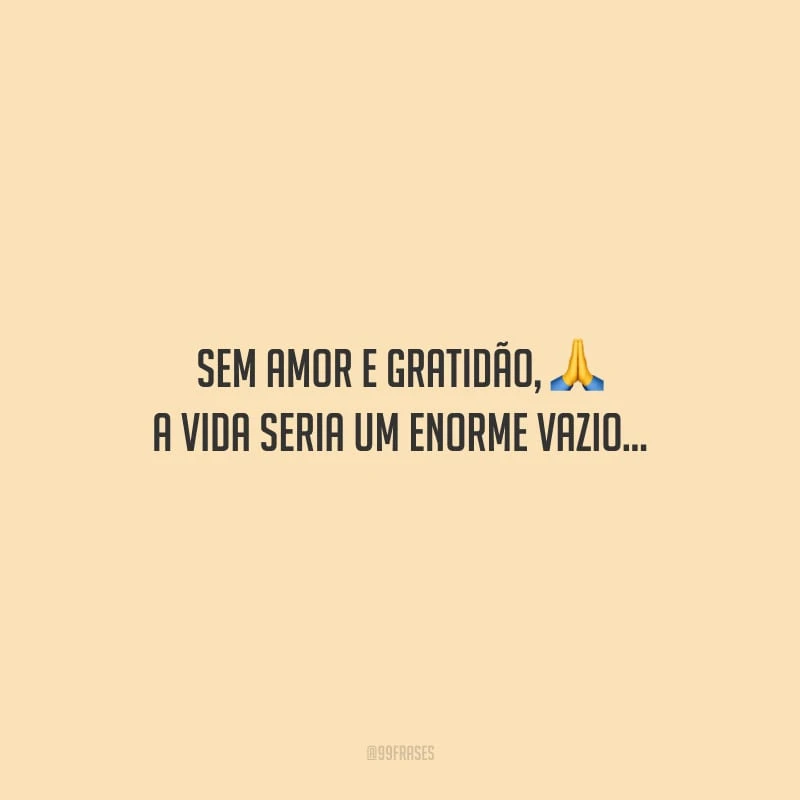 Sem amor e gratidão, a vida seria um enorme vazio...