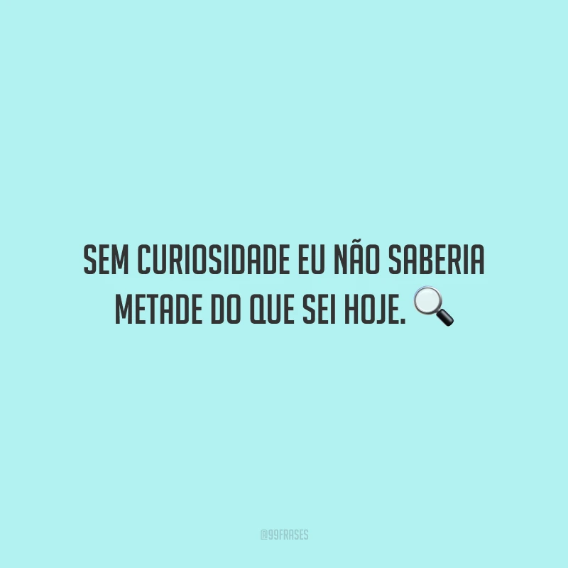 Sem curiosidade eu não saberia metade do que sei hoje.