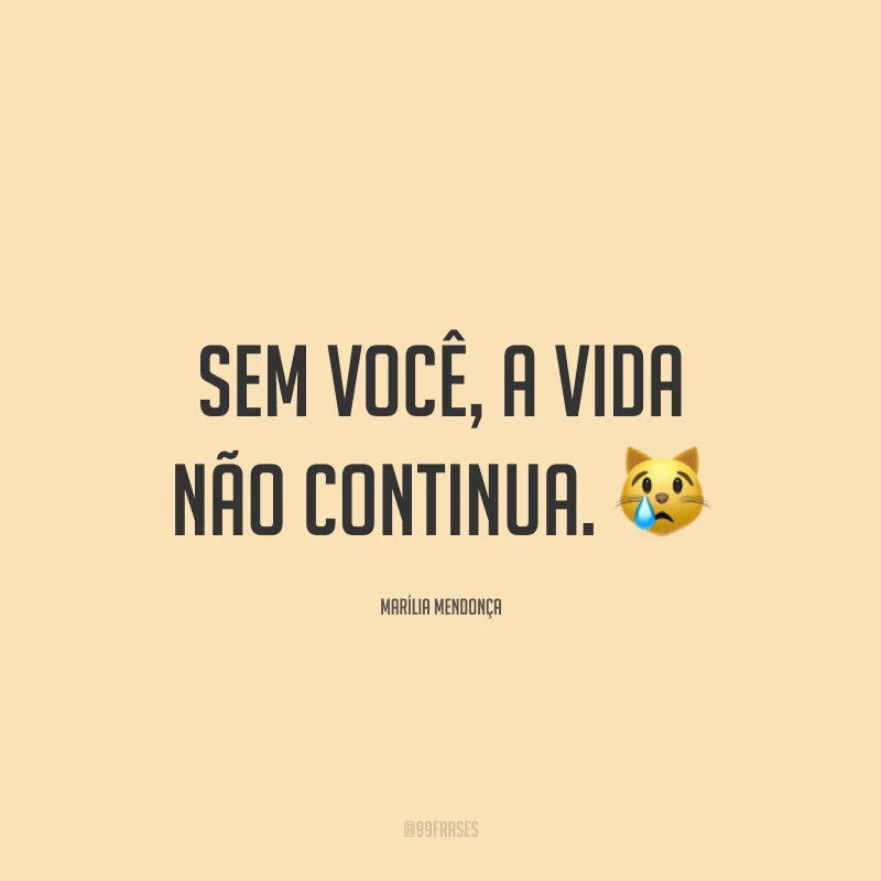 Sem você, a vida não continua. 😿