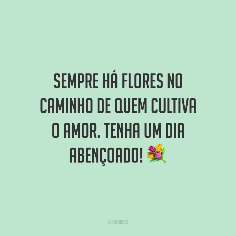 Sempre há flores no caminho de quem cultiva o amor. Tenha um dia abençoado! ?