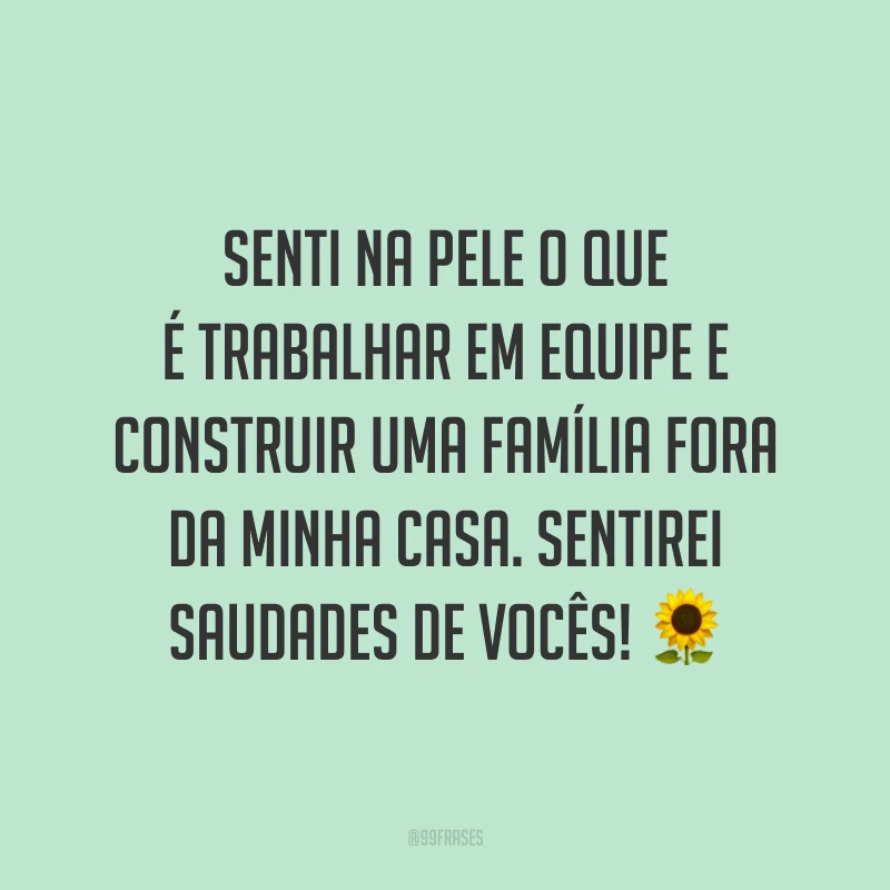 Senti na pele o que é trabalhar em equipe e construir uma família fora da minha casa. Sentirei saudades de vocês! 🌻