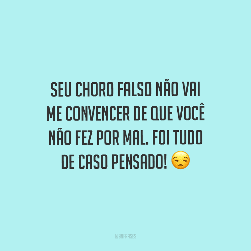 Seu choro falso não vai me convencer de que você não fez por mal. Foi tudo de caso pensado! 