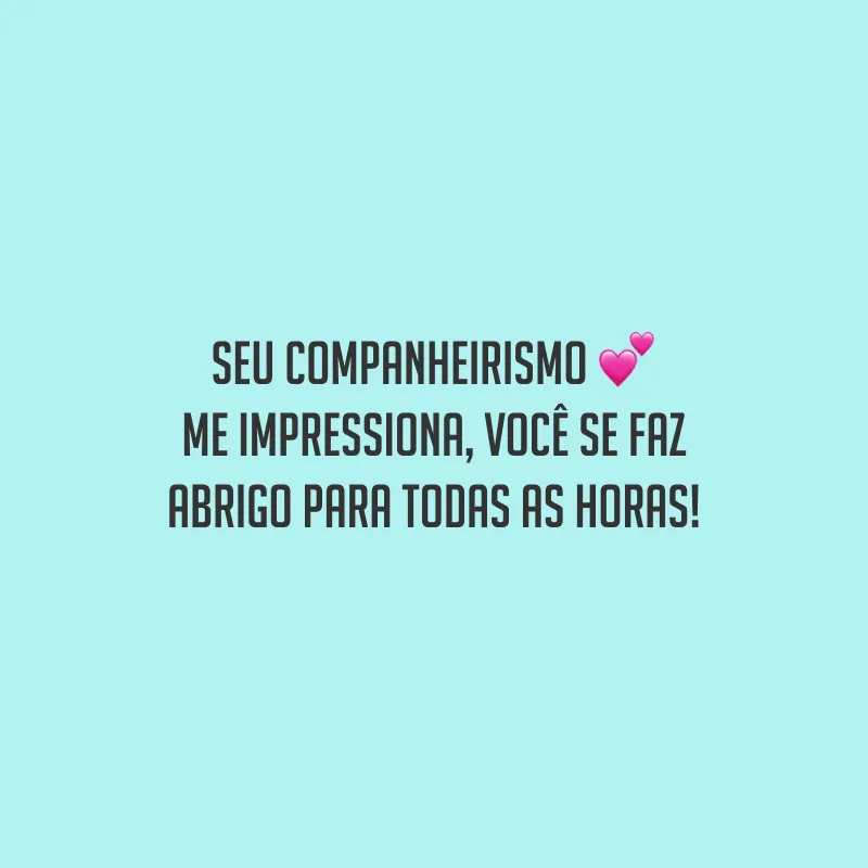 Seu companheirismo me impressiona, você se faz abrigo para todas as horas!
