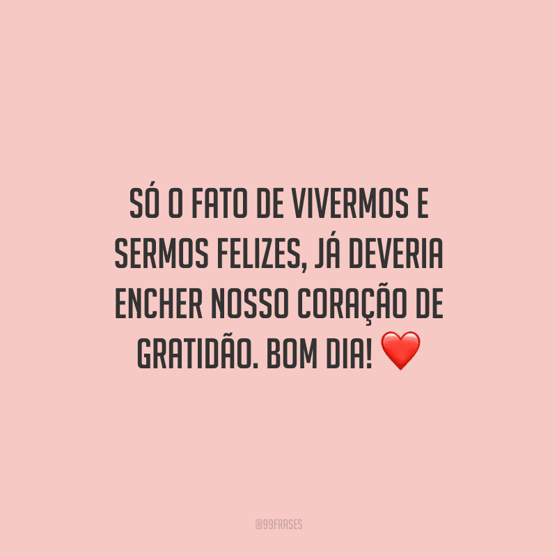 Só o fato de vivermos e sermos felizes, já deveria encher nosso coração de gratidão. Bom dia!