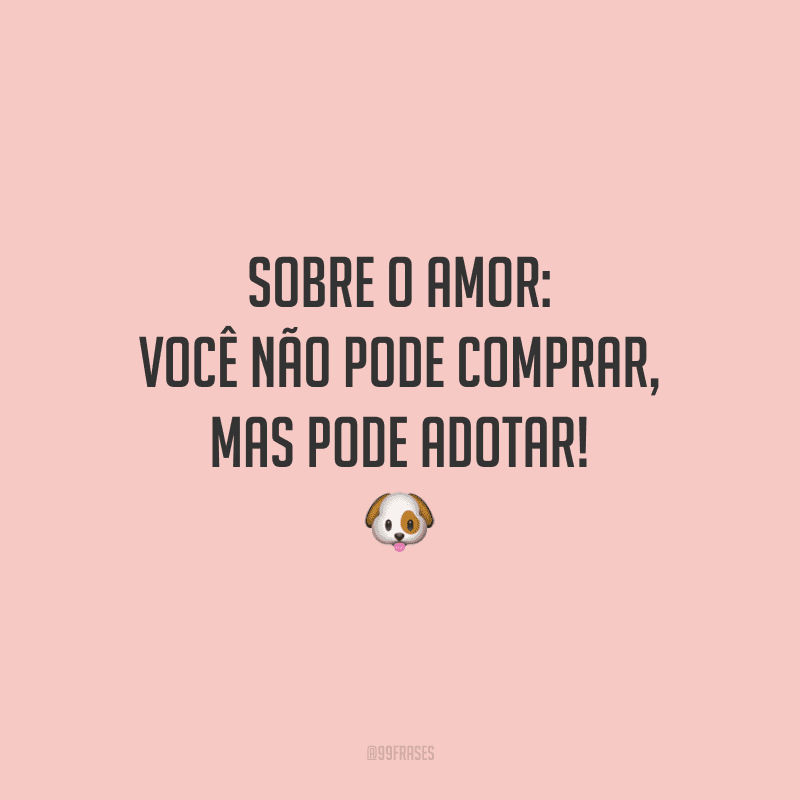 Sobre o amor: você não pode comprar, mas pode adotar!