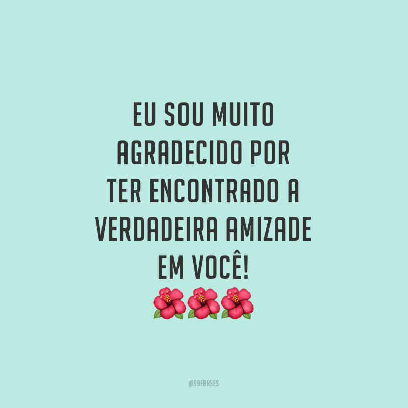 Eu sou muito agradecido por ter encontrado a verdadeira amizade em você!
