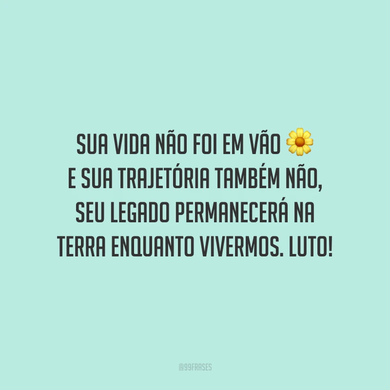 Sua vida não foi em vão e sua trajetória também não, seu legado permanecerá na Terra enquanto vivermos. Luto!