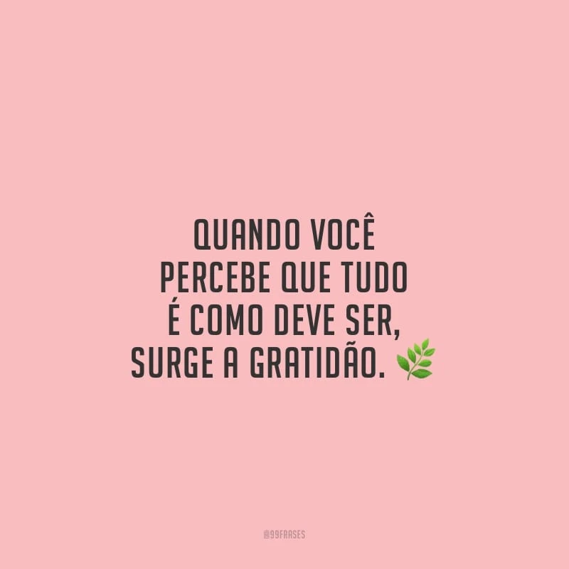 Quando você percebe que tudo é como deve ser, surge a gratidão.