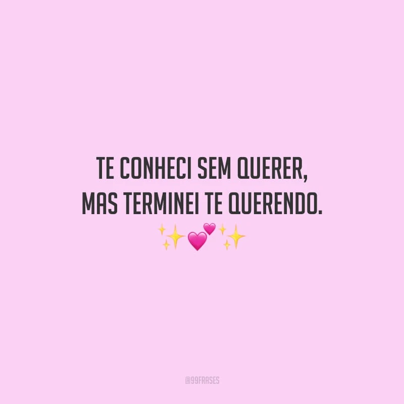 Te conheci sem querer, mas terminei te querendo.