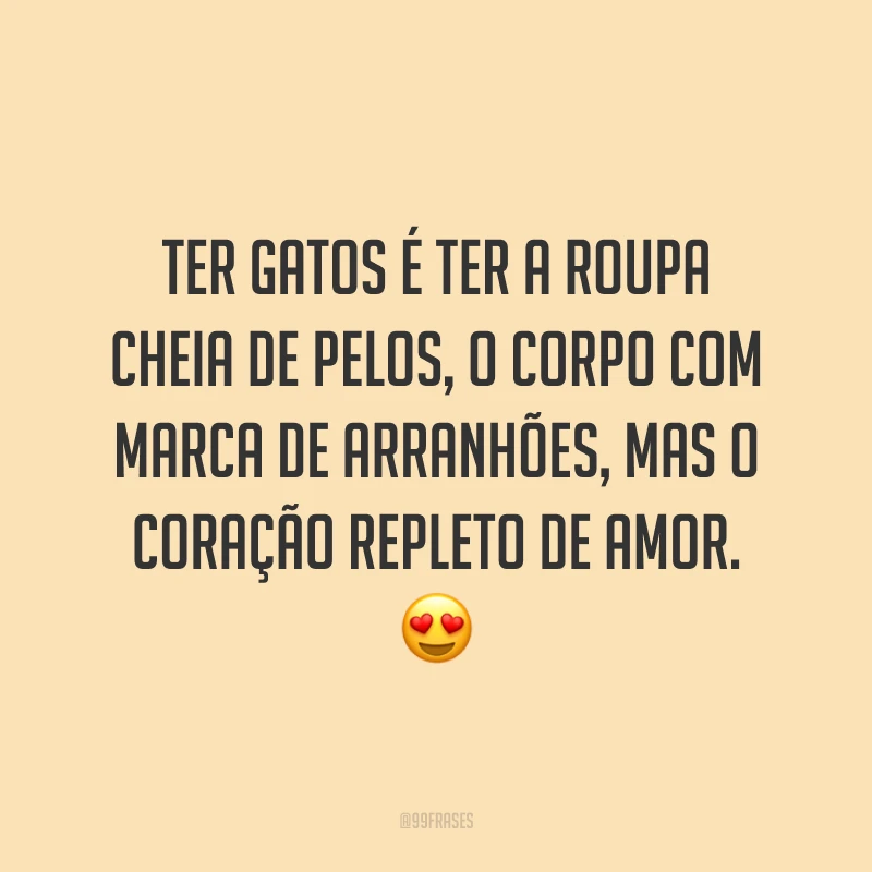 Ter gatos é ter a roupa cheia de pelos, o corpo com marca de arranhões, mas o coração repleto de amor. 😍