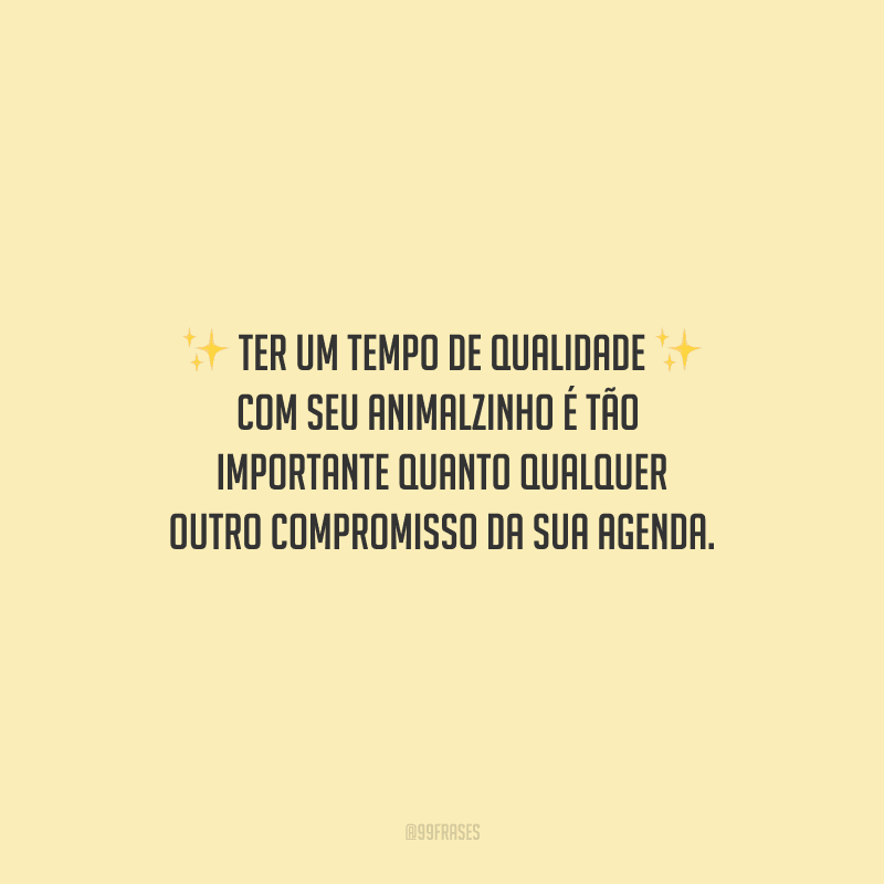 Ter um tempo de qualidade com seu animalzinho é tão importante quanto qualquer outro compromisso da sua agenda.