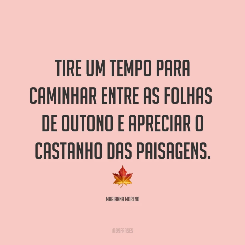 Tire um tempo para caminhar entre as folhas de outono e apreciar o castanho das paisagens. ?