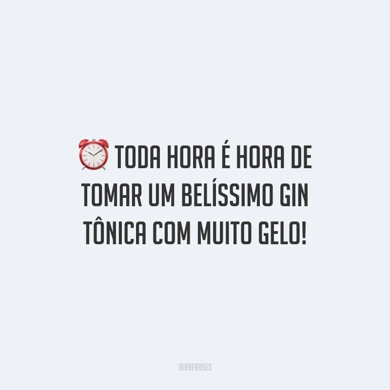 Toda hora é hora de tomar um belíssimo gin tônica com muito gelo!