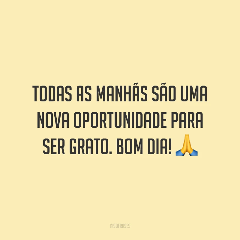 Todas as manhãs são uma nova oportunidade para ser grato. Bom dia! 🙏