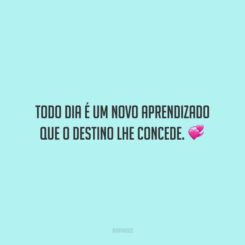 Todo dia é um novo aprendizado que o destino lhe concede.