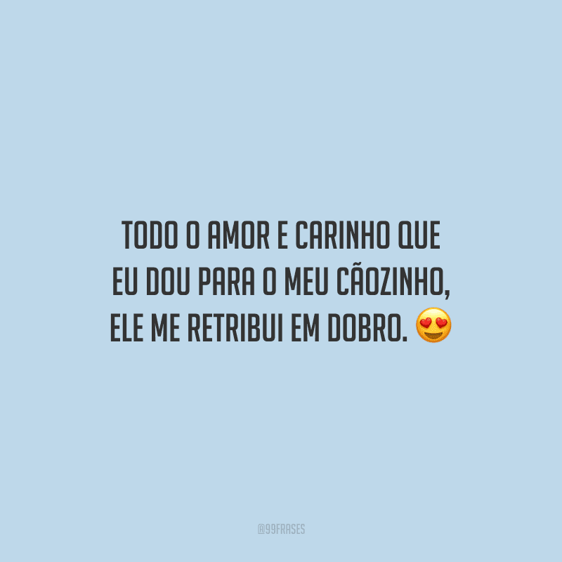 Todo o amor e carinho que eu dou para o meu cãozinho, ele me retribui em dobro.
