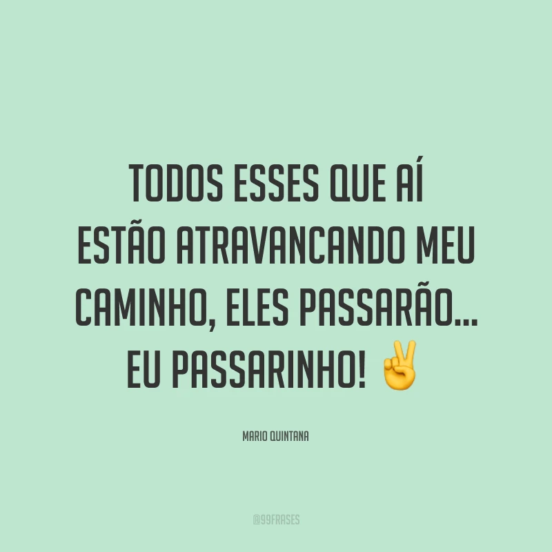 Todos esses que aí estão atravancando meu caminho, eles passarão… Eu passarinho! ✌