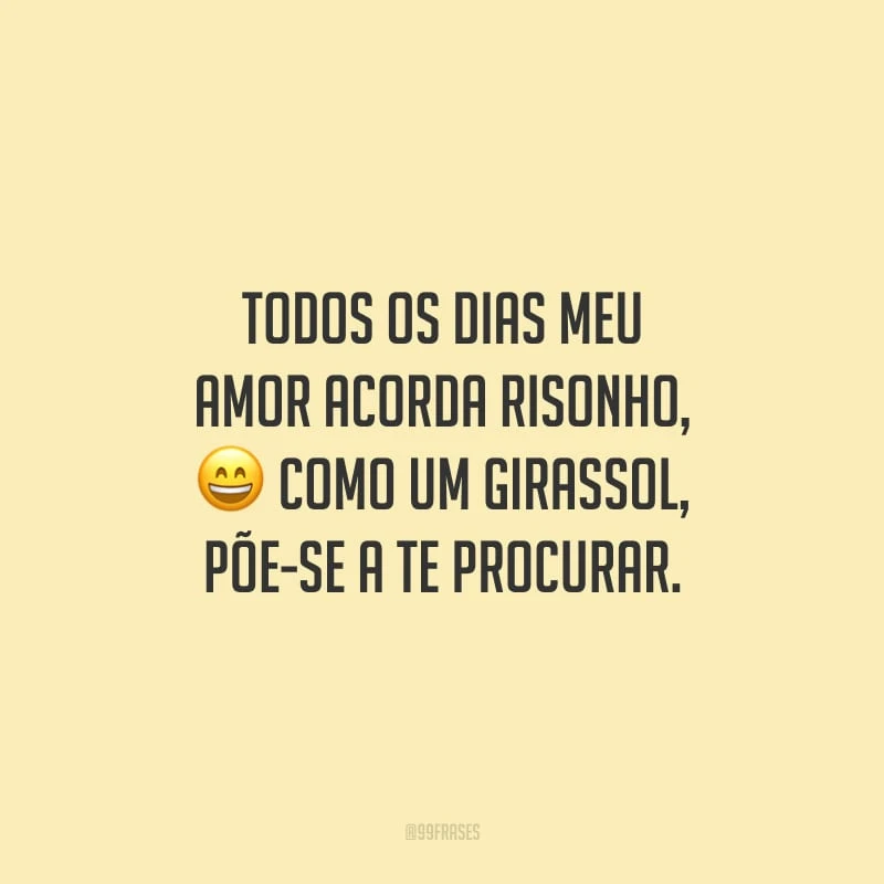 Todos os dias meu amor acorda risonho, Como um girassol, põe-se a te procurar.