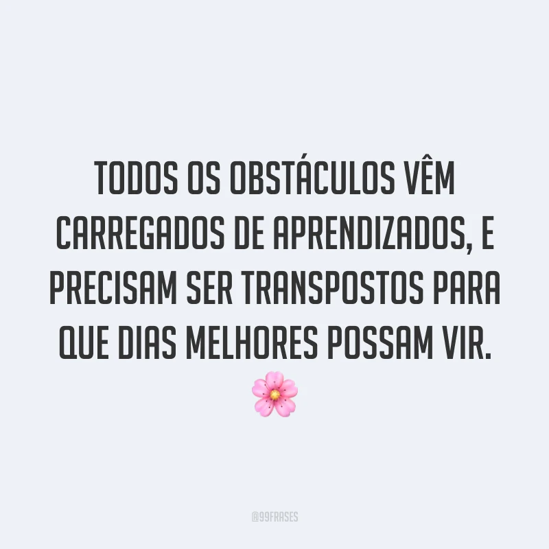 Todos os obstáculos vêm carregados de aprendizados, e precisam ser transpostos para que dias melhores possam vir. 🌸