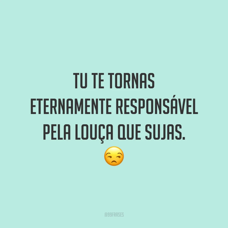 Tu te tornas eternamente responsável pela louça que sujas. 😒