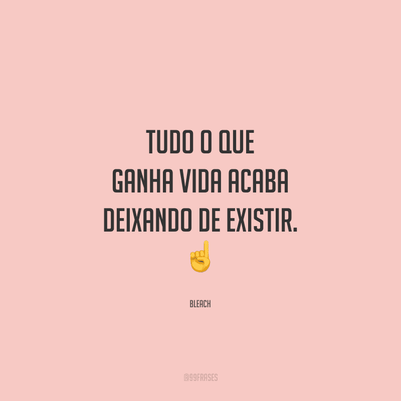 Seres humanos morrem. Animais morrem. Plantas morrem. Até os ceifadores de almas morrem. É o arco do universo. Tudo o que ganha vida acaba deixando de existir.