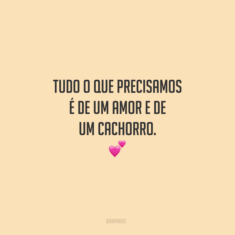 Tudo o que precisamos é de um amor e de um cachorro.