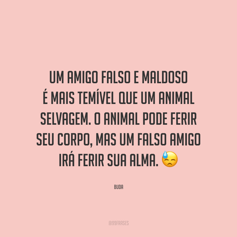 Um amigo falso e maldoso é mais temível que um animal selvagem. O animal pode ferir seu corpo, mas um falso amigo irá ferir sua alma. 