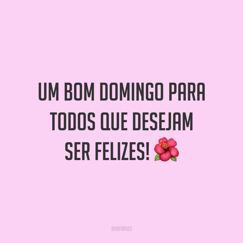 Um bom domingo para todos que desejam ser felizes!