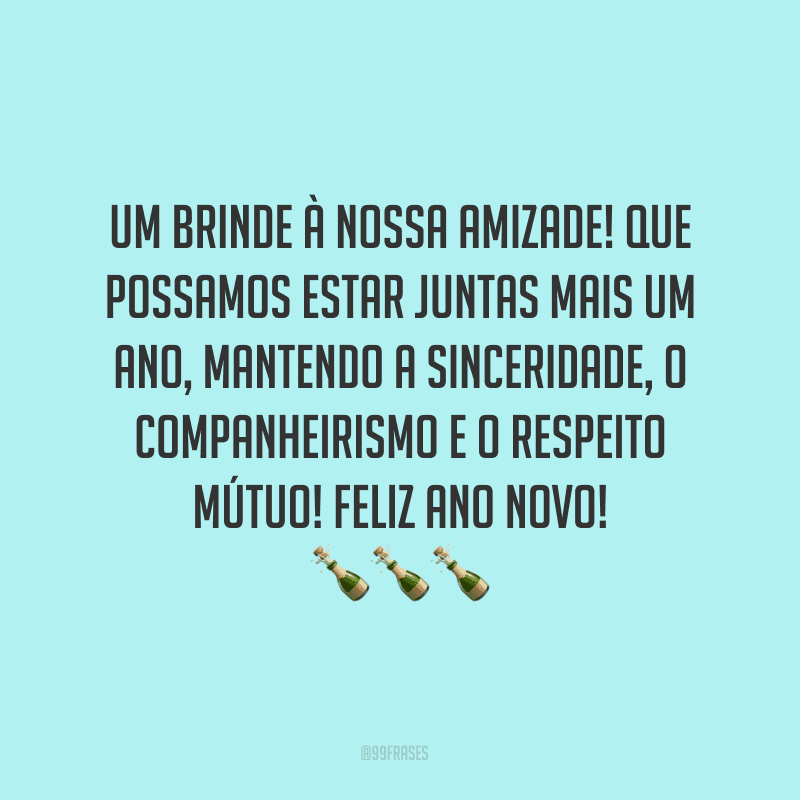 Um brinde à nossa amizade! Que possamos estar juntas mais um ano, mantendo a sinceridade, o companheirismo e o respeito mútuo! Feliz Ano Novo!