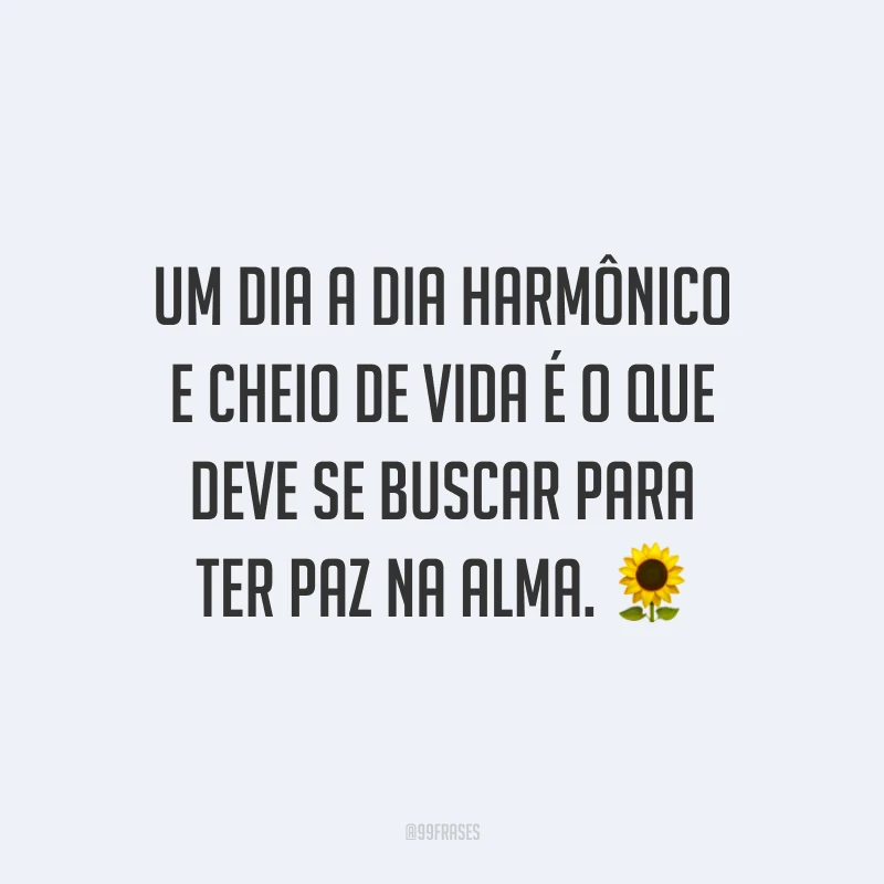 Um dia a dia harmônico e cheio de vida é o que deve se buscar para ter paz na alma.